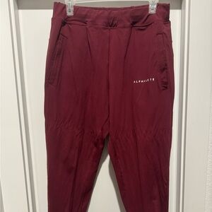 Alphalete Men’s Maroon Performance Joggers